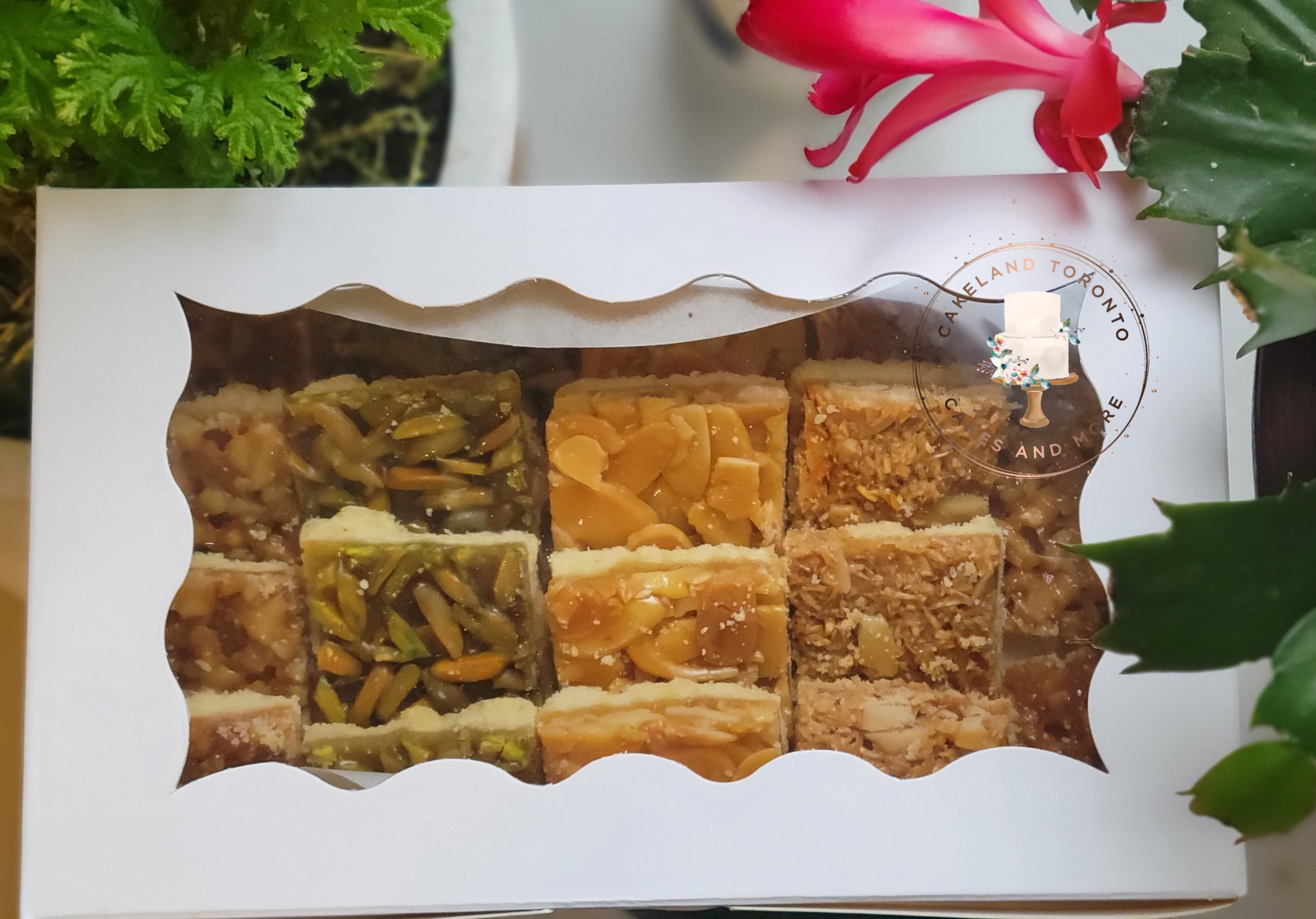 Pistachio and Almond slices