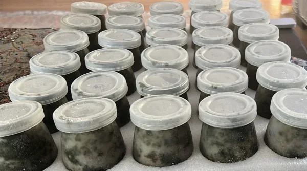 Green salt Delar A jar contains 100 grams of net weight.