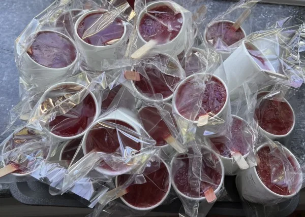 Sour ice cream Eskamo for each cup